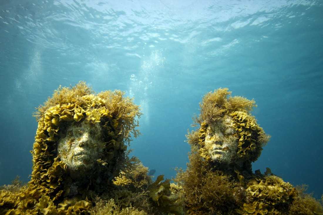 Атлантико – уникальный музей под водой