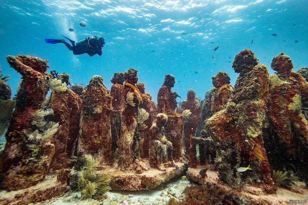 Подводный парк скульптур в мексике — отзывы и фото