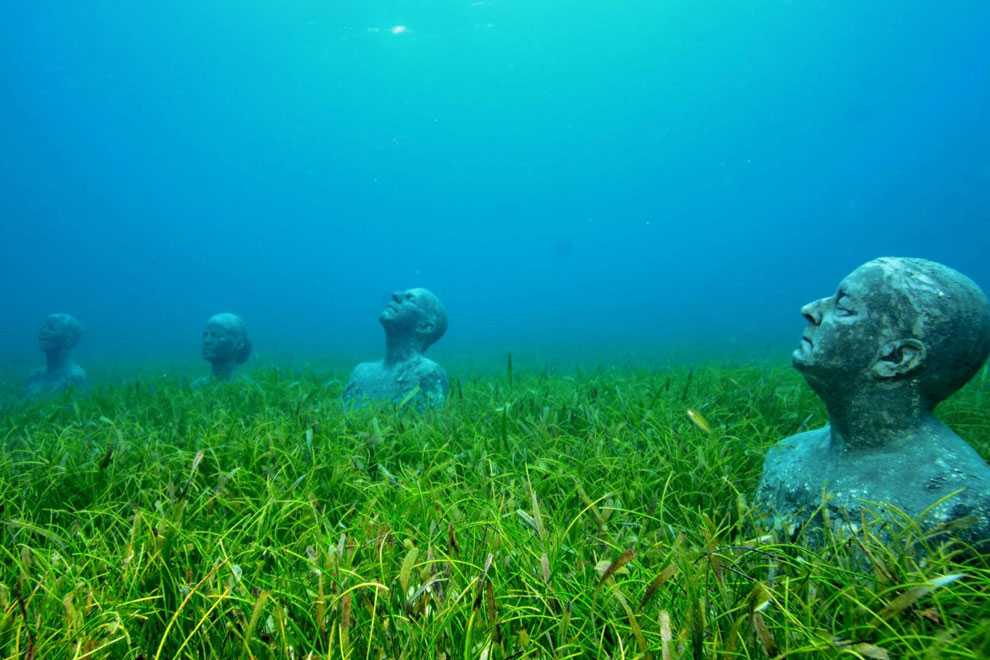 Подводный парк скульптур в мексике - отзывы и фото - дневник туриста