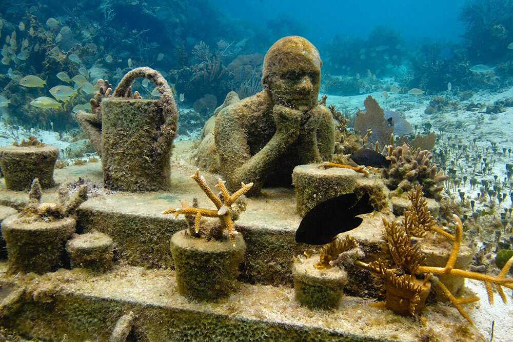 Современные музеи завоевывают все новые и новые пространства и уже добрались до самого океанского дна Невероятные экспозиции  - целые скульптурные парки - представляют два подводных музея в бассейнах Карибского моря, на
