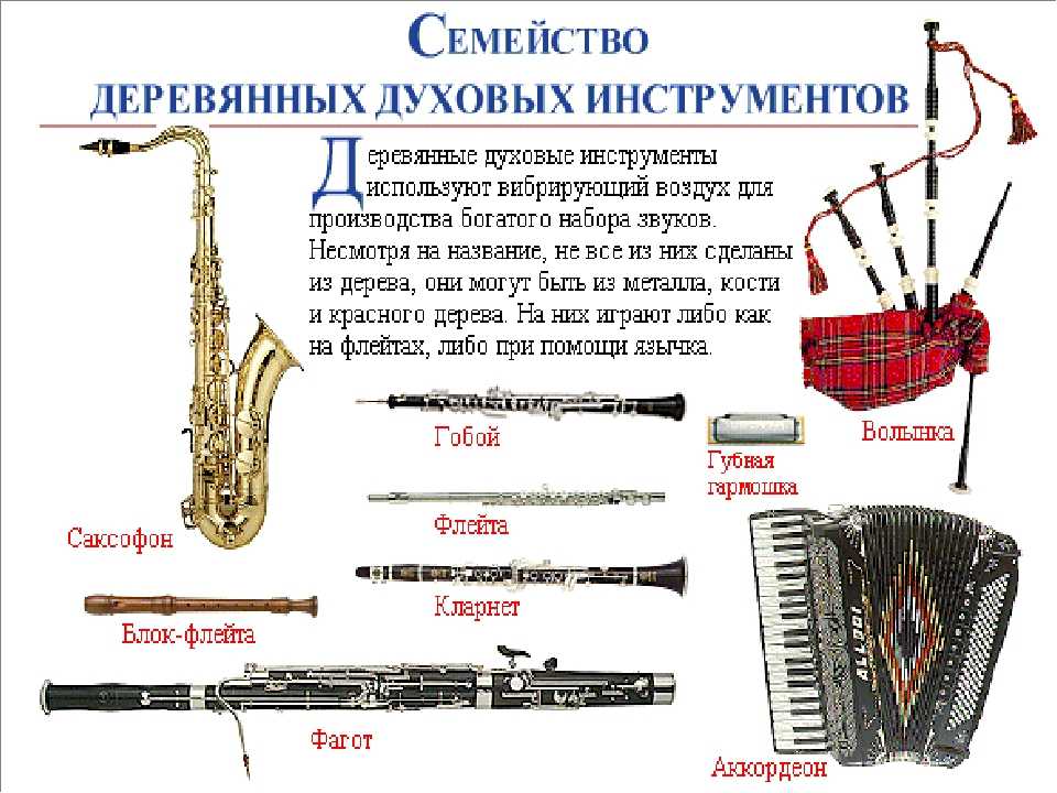 Какие музыкальные инструменты относятся к духовым