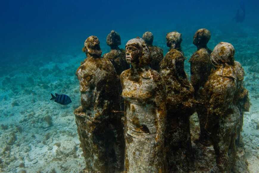 💦 подводный мир тарханкута: экстремальный дайвинг для избранных