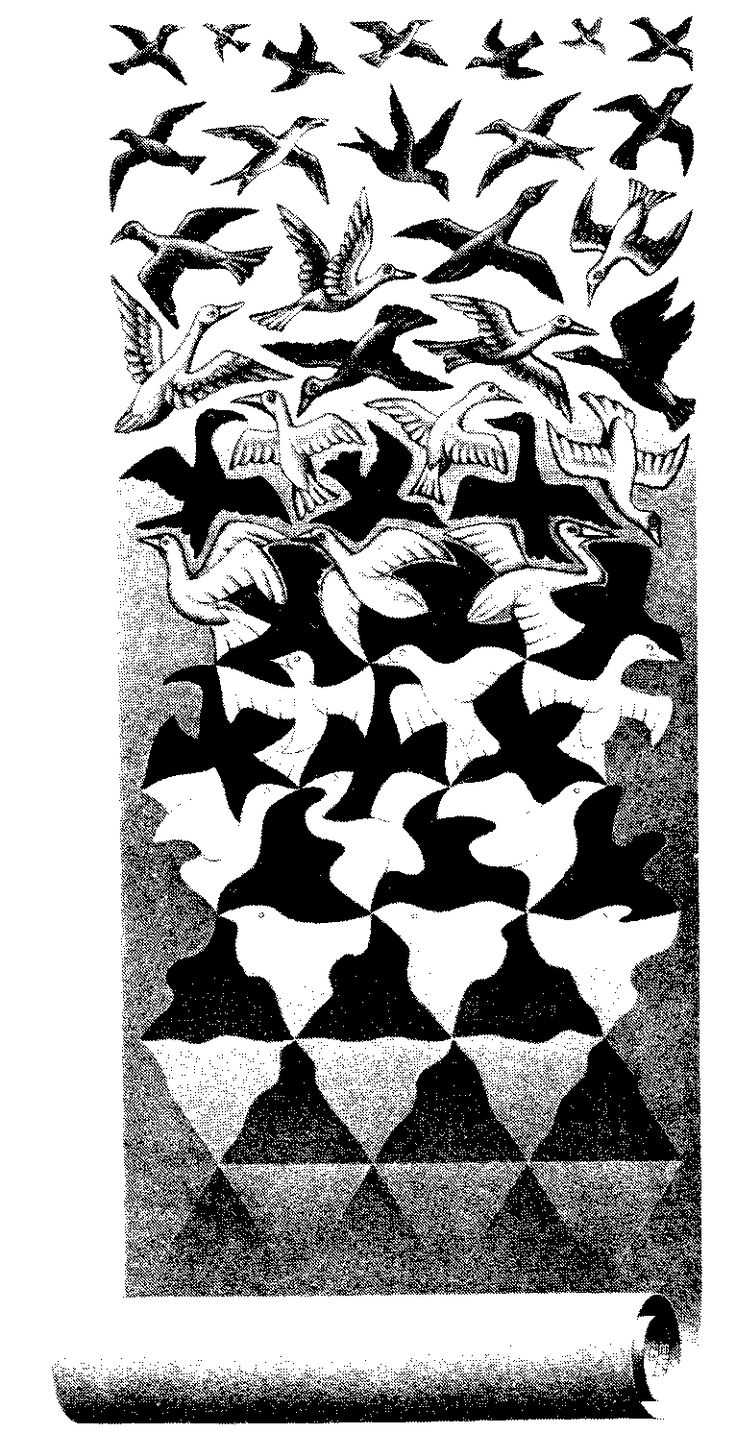 «колорит»: математика и живопись. творчество маурица корнелиса эшера