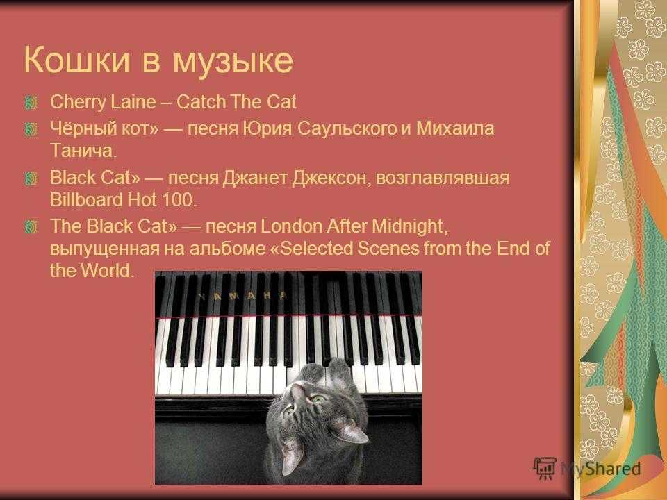 Песни про кошек слушать. Кот и музыка. Музыка для кошек. Образ кошки в Музыке. Чёрный кот песня.